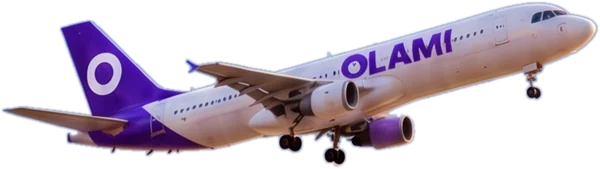 Самолёт OLAMI
